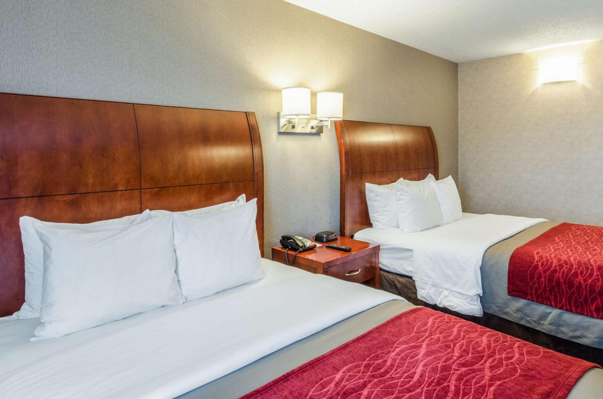 Comfort Inn & Suites West Springfield Extérieur photo